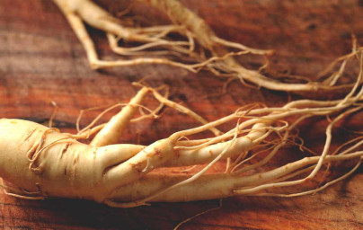 Ginseng (Panax)