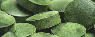 Klorela (Chlorella)