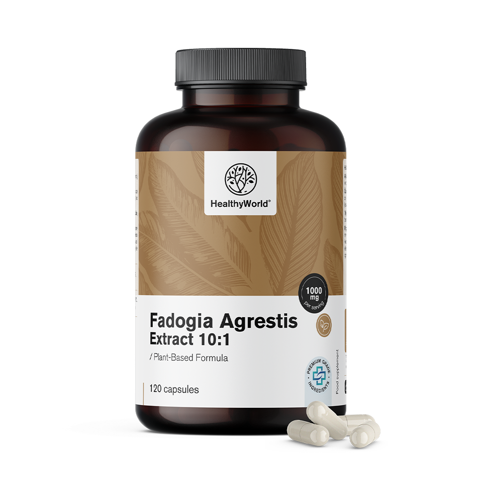 Fadogia Agrestis 1000 mg w kapsułkach