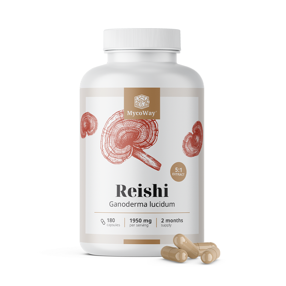 Reishi 1950 mg - ekstrakt 5:1