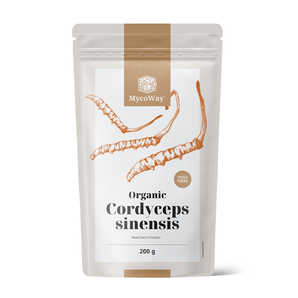 BIO Cordyceps sinensis w proszku