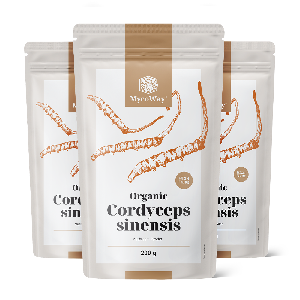 BIO Cordyceps sinensis w proszku